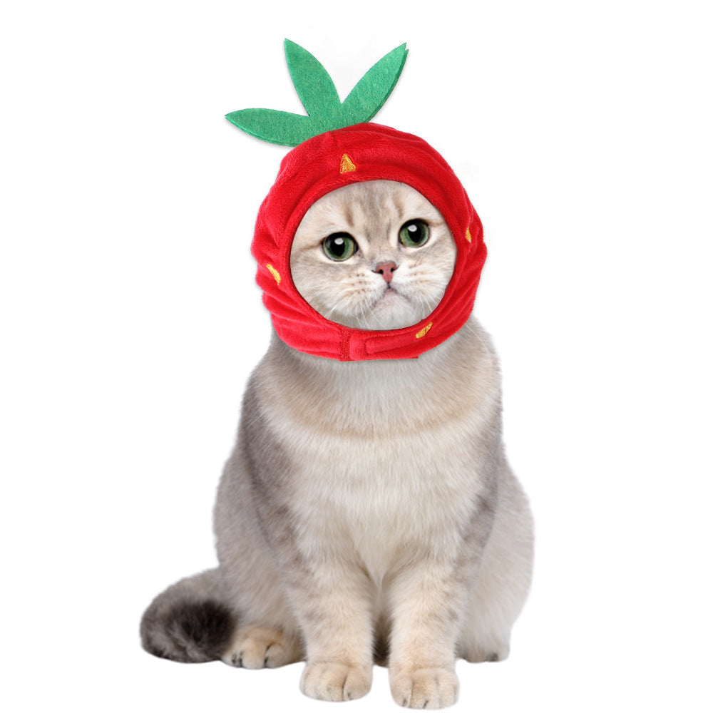 Curly Hair Pet Hat Cat Funny Dress Up Pet Products - Pimmbi