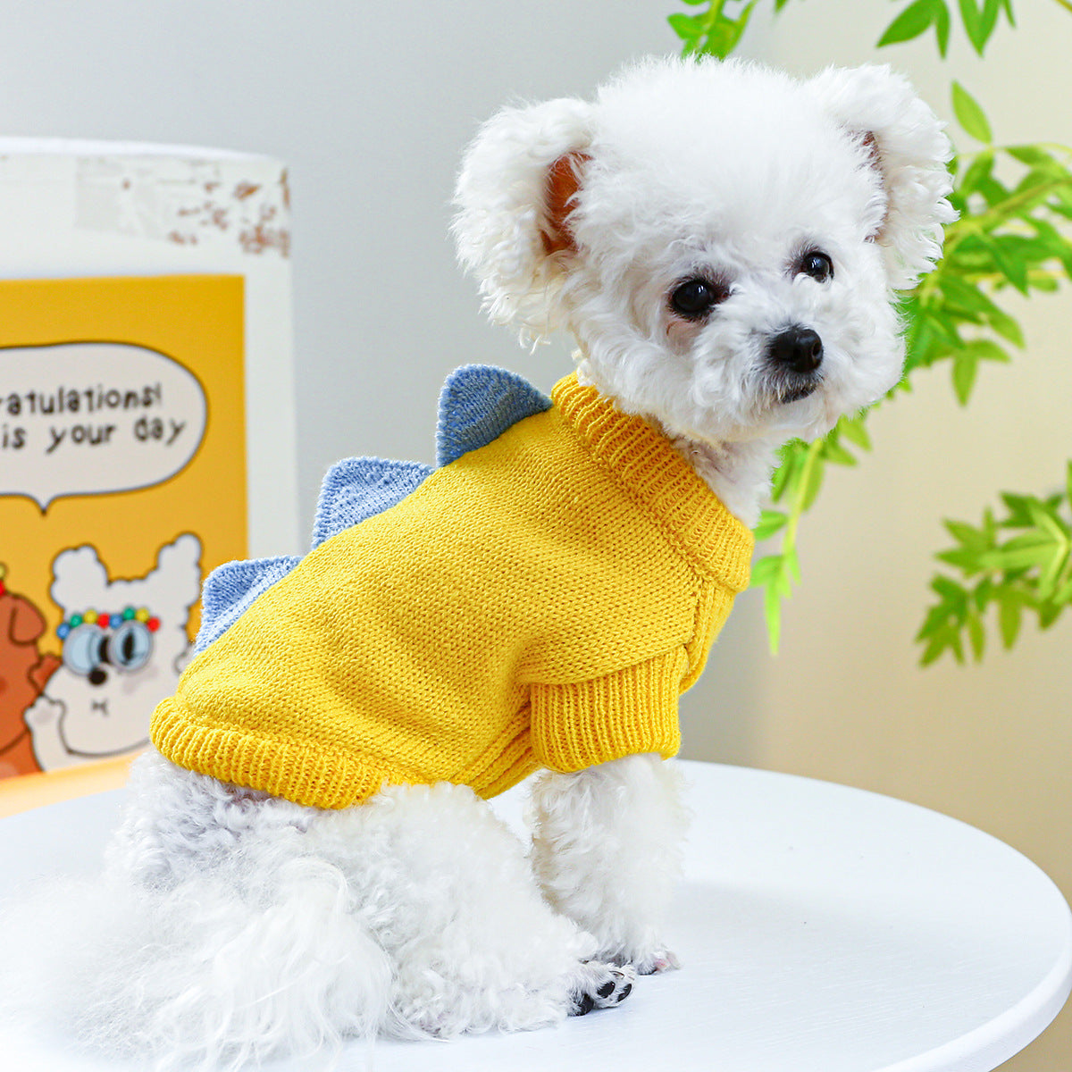 Pet Ring Dog Clothes Warm, Comfortable And Cute - Pimmbi