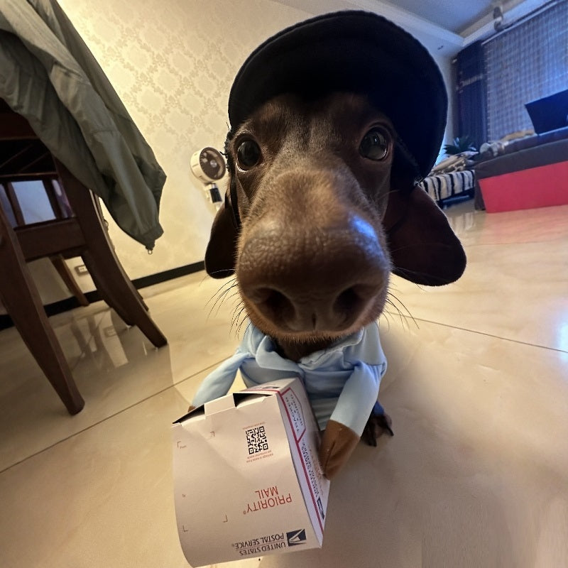 Dog Express Pet Costume Small Dog Halloween Clothing - Pimmbi