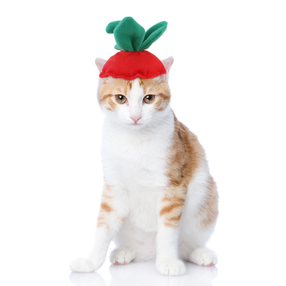 Curly Hair Pet Hat Cat Funny Dress Up Pet Products - Pimmbi