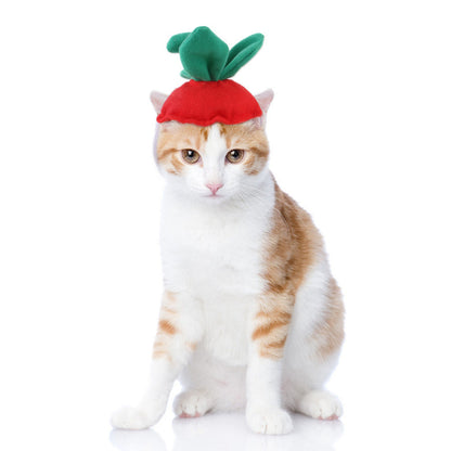 Curly Hair Pet Hat Cat Funny Dress Up Pet Products - Pimmbi