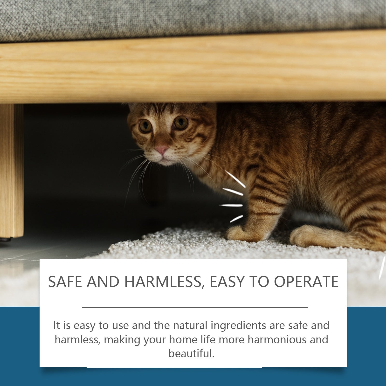 Pet Insect Repellent Prevent Cats From Going To Bed Spray - Pimmbi