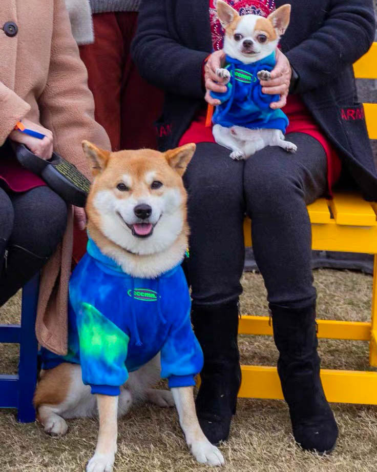 Pet Dog Tide Brand Warm And Thickened Tie Dyed Sweatshirt - Pimmbi