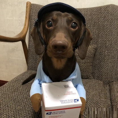 Dog Express Pet Costume Small Dog Halloween Clothing - Pimmbi