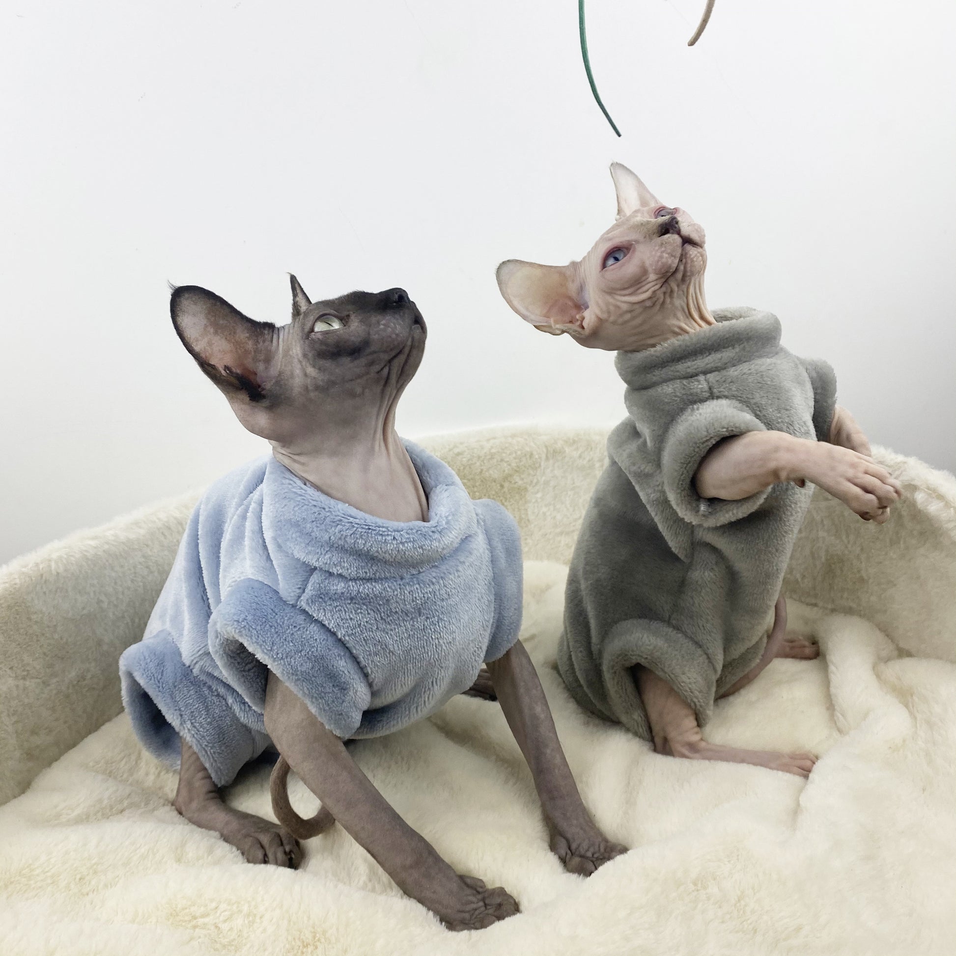 Sphinx Hairless Cat Flannel Thermal Four-legged Jacket - Pimmbi