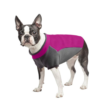Dog Clothes Autumn And Winter Thickened Warmth Stretch - Pimmbi