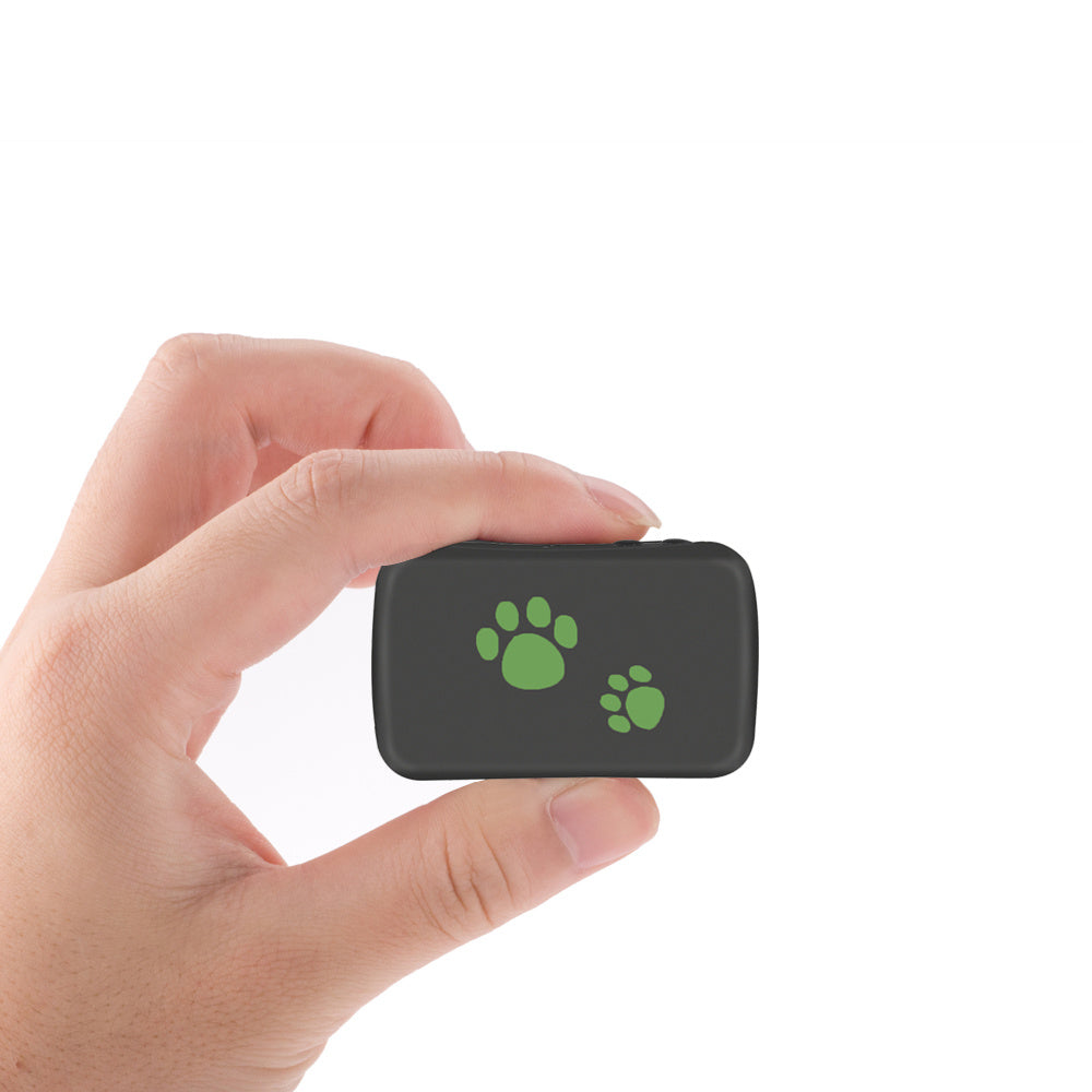Pet PVC Material GPS Tracker Anti-lost - Pimmbi