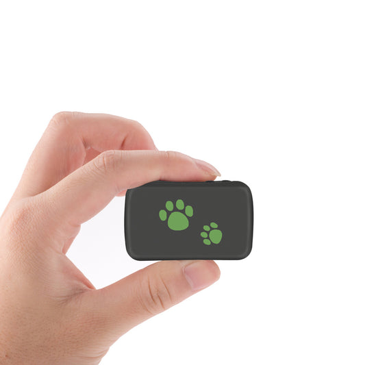 Pet PVC Material GPS Tracker Anti-lost - Pimmbi