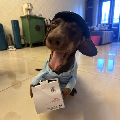 Dog Express Pet Costume Small Dog Halloween Clothing - Pimmbi